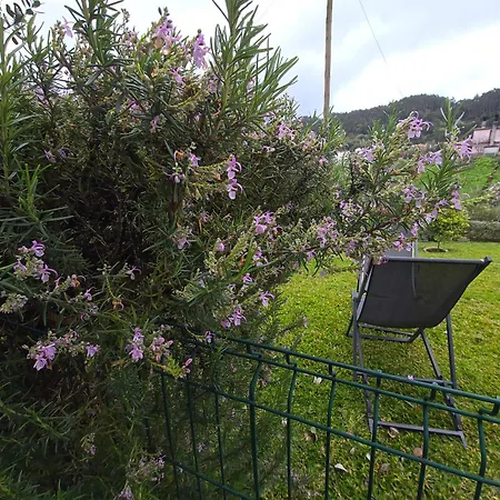 Casa Do Manuel Santana (Madeira)