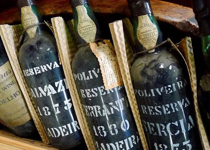 Casa Do Manuel Appartement