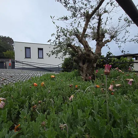 Lägenhet Casa Do Manuel Santana (Madeira)