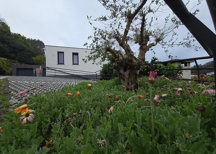 公寓 Casa Do Manuel 桑塔纳